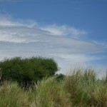 2do campamento, despues de la lluvia y granizo